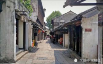 逃出蜜蜂岛